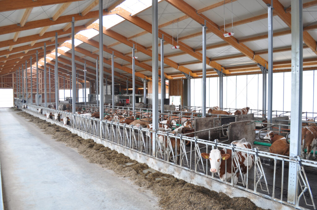 Siloerweiterung, Kainsricht Landwirtschaftliche Bauten Silo